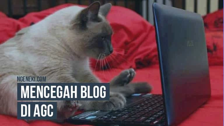 Cara Supaya Blog Tidak Terkena AGC